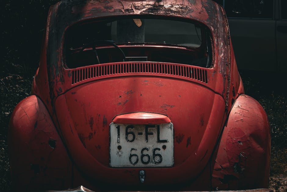 Curated selection of best products